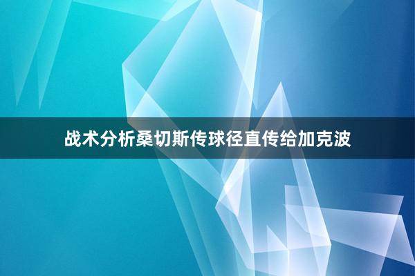 战术分析桑切斯传球径直传给加克波