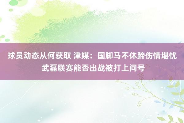 球员动态从何获取 津媒：国脚马不休蹄伤情堪忧 武磊联赛能否出战被打上问号