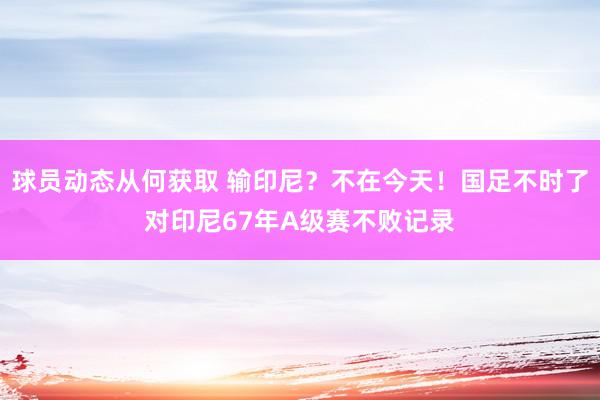 球员动态从何获取 输印尼？不在今天！国足不时了对印尼67年A级赛不败记录