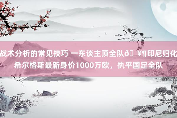 战术分析的常见技巧 一东谈主顶全队🥶印尼归化希尔格斯最新身价1000万欧，执平国足全队