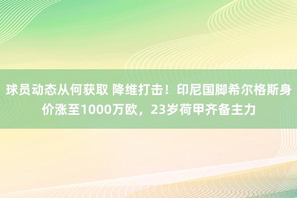 球员动态从何获取 降维打击！印尼国脚希尔格斯身价涨至1000万欧，23岁荷甲齐备主力