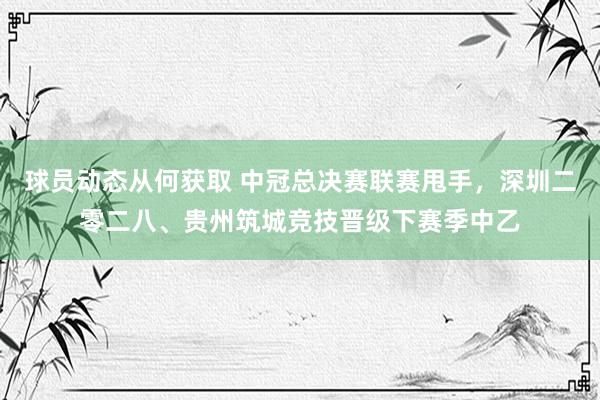 球员动态从何获取 中冠总决赛联赛甩手，深圳二零二八、贵州筑城竞技晋级下赛季中乙