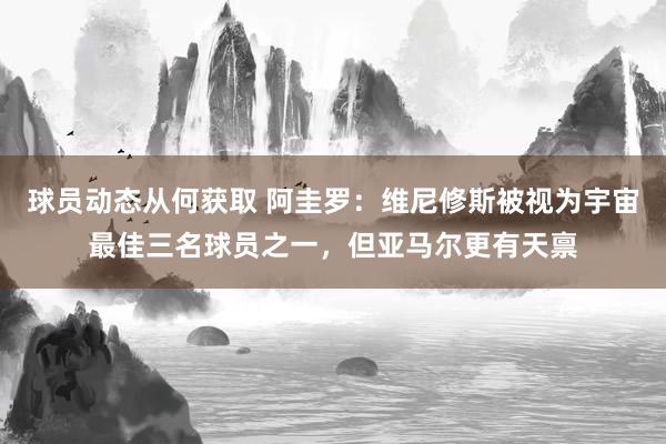 球员动态从何获取 阿圭罗：维尼修斯被视为宇宙最佳三名球员之一，但亚马尔更有天禀