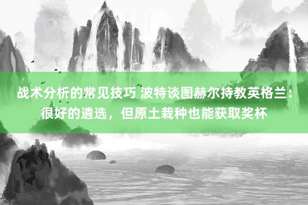 战术分析的常见技巧 波特谈图赫尔持教英格兰：很好的遴选，但原土栽种也能获取奖杯