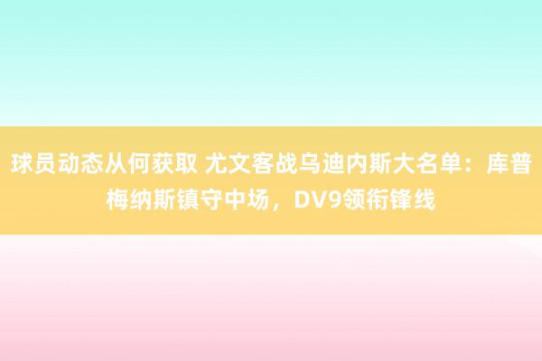 球员动态从何获取 尤文客战乌迪内斯大名单：库普梅纳斯镇守中场，DV9领衔锋线