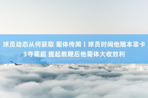 球员动态从何获取 葡体传闻丨球员时间他随本菲卡3夺葡超 提起教鞭后他葡体大收效利