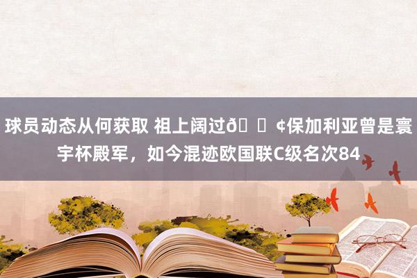 球员动态从何获取 祖上阔过😢保加利亚曾是寰宇杯殿军，如今混迹欧国联C级名次84