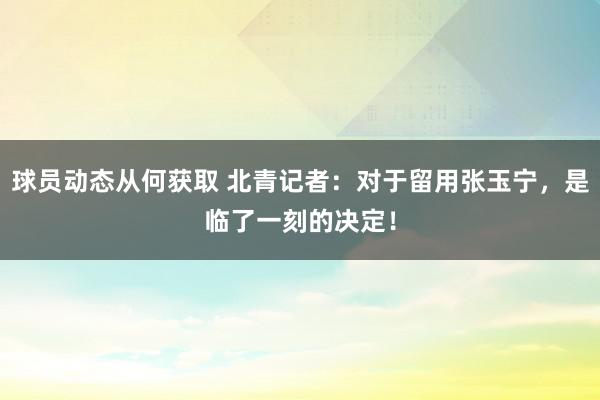 球员动态从何获取 北青记者：对于留用张玉宁，是临了一刻的决定！