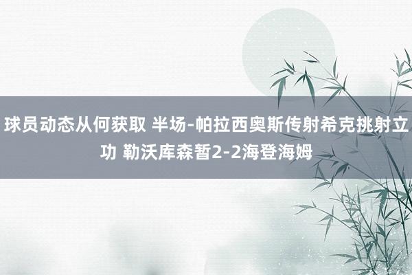 球员动态从何获取 半场-帕拉西奥斯传射希克挑射立功 勒沃库森暂2-2海登海姆