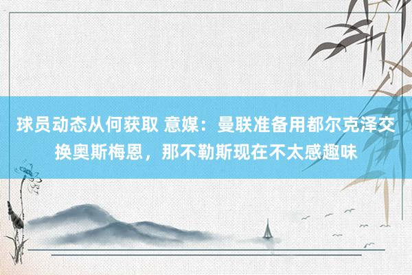 球员动态从何获取 意媒：曼联准备用都尔克泽交换奥斯梅恩，那不勒斯现在不太感趣味