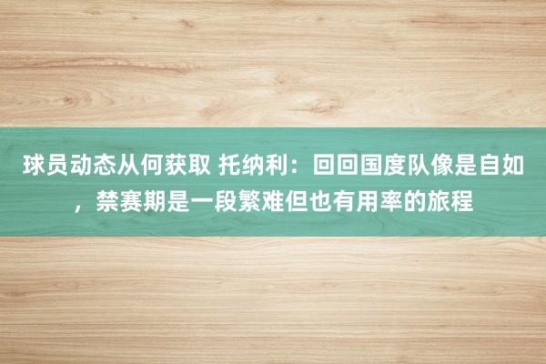 球员动态从何获取 托纳利：回回国度队像是自如，禁赛期是一段繁难但也有用率的旅程