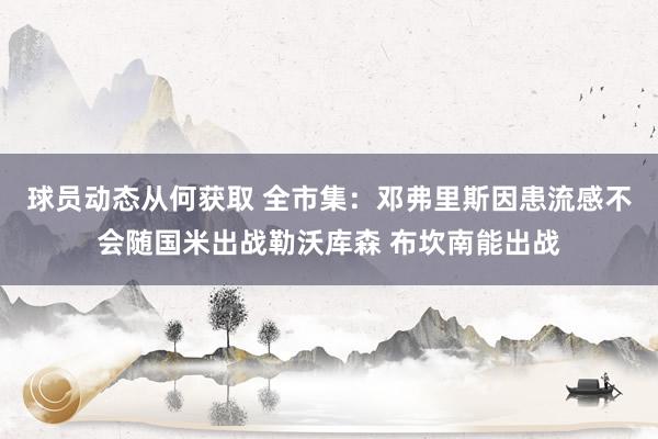 球员动态从何获取 全市集：邓弗里斯因患流感不会随国米出战勒沃库森 布坎南能出战