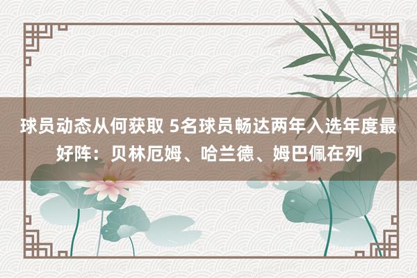 球员动态从何获取 5名球员畅达两年入选年度最好阵：贝林厄姆、哈兰德、姆巴佩在列