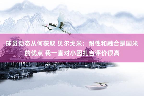 球员动态从何获取 贝尔戈米：耐性和融合是国米的优点 我一直对小因扎吉评价很高