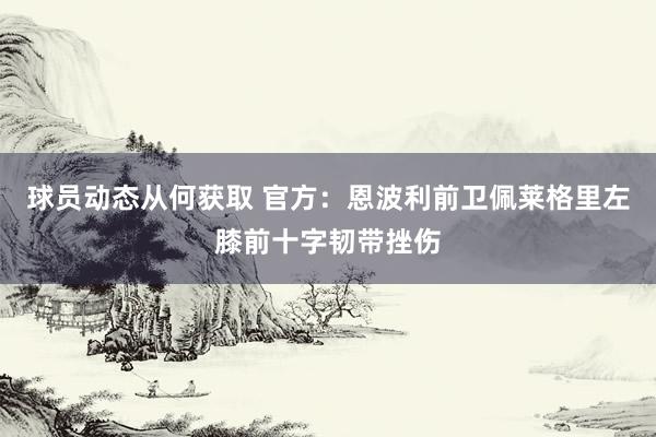 球员动态从何获取 官方：恩波利前卫佩莱格里左膝前十字韧带挫伤