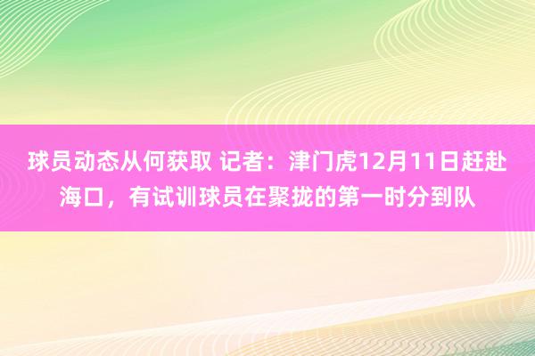 球员动态从何获取 记者：津门虎12月11日赶赴海口，有试训球员在聚拢的第一时分到队