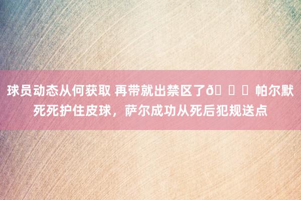 球员动态从何获取 再带就出禁区了😂帕尔默死死护住皮球，萨尔成功从死后犯规送点