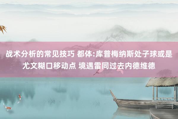 战术分析的常见技巧 都体:库普梅纳斯处子球或是尤文糊口移动点 境遇雷同过去内德维德