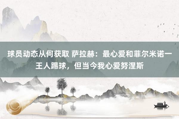 球员动态从何获取 萨拉赫：最心爱和菲尔米诺一王人踢球，但当今我心爱努涅斯