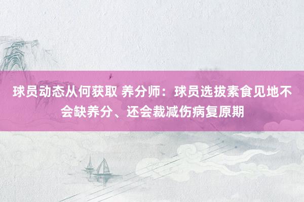 球员动态从何获取 养分师：球员选拔素食见地不会缺养分、还会裁减伤病复原期