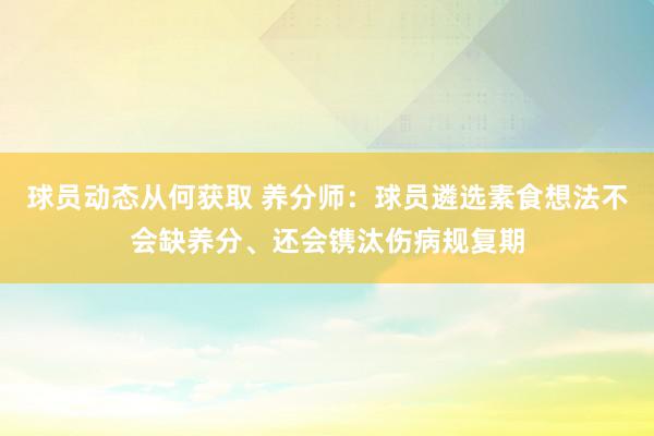 球员动态从何获取 养分师：球员遴选素食想法不会缺养分、还会镌汰伤病规复期