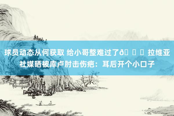 球员动态从何获取 给小哥整难过了😅拉维亚社媒晒被库卢肘击伤疤：耳后开个小口子