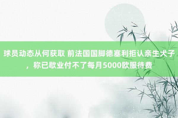 球员动态从何获取 前法国国脚德塞利拒认亲生犬子，称已歇业付不了每月5000欧服待费