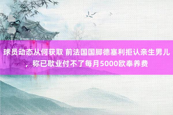 球员动态从何获取 前法国国脚德塞利拒认亲生男儿，称已歇业付不了每月5000欧奉养费