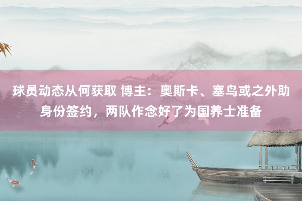 球员动态从何获取 博主：奥斯卡、塞鸟或之外助身份签约，两队作念好了为国养士准备