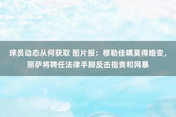 球员动态从何获取 图片报：穆勒佳耦莫得婚变，丽萨将聘任法律手脚反击指责和网暴