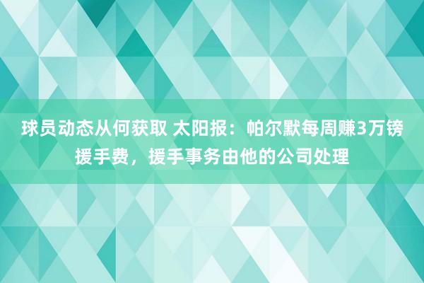 球员动态从何获取 太阳报：帕尔默每周赚3万镑援手费，援手事务由他的公司处理