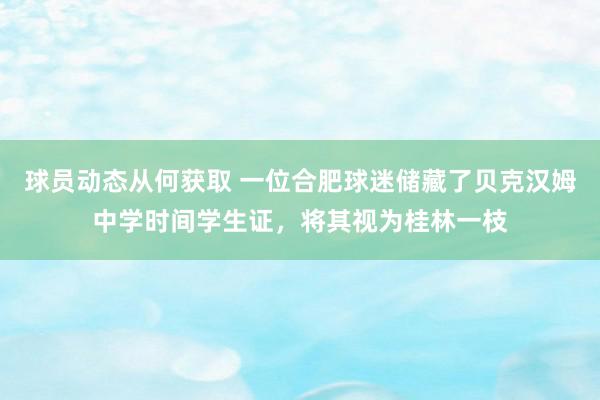 球员动态从何获取 一位合肥球迷储藏了贝克汉姆中学时间学生证，将其视为桂林一枝