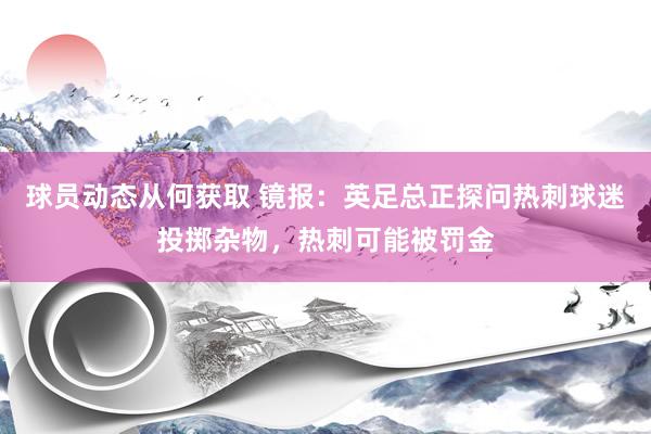 球员动态从何获取 镜报：英足总正探问热刺球迷投掷杂物，热刺可能被罚金