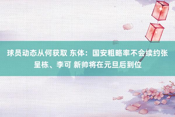 球员动态从何获取 东体：国安粗略率不会续约张呈栋、李可 新帅将在元旦后到位