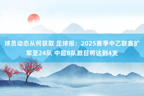 球员动态从何获取 足球报：2025赛季中乙联赛扩军至24队 中超B队数目将达到4支