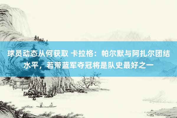 球员动态从何获取 卡拉格：帕尔默与阿扎尔团结水平，若带蓝军夺冠将是队史最好之一