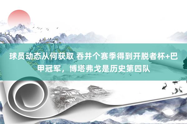 球员动态从何获取 吞并个赛季得到开脱者杯+巴甲冠军，博塔弗戈是历史第四队