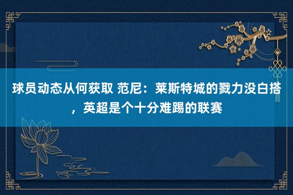 球员动态从何获取 范尼：莱斯特城的戮力没白搭，英超是个十分难踢的联赛