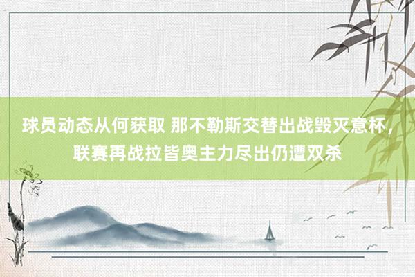 球员动态从何获取 那不勒斯交替出战毁灭意杯，联赛再战拉皆奥主力尽出仍遭双杀