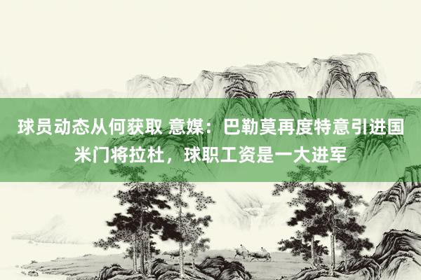 球员动态从何获取 意媒：巴勒莫再度特意引进国米门将拉杜，球职工资是一大进军