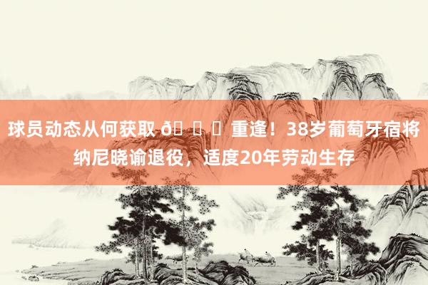 球员动态从何获取 👋重逢！38岁葡萄牙宿将纳尼晓谕退役，适度20年劳动生存