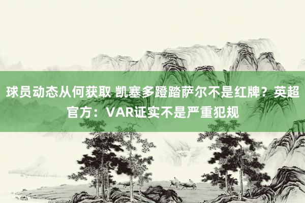 球员动态从何获取 凯塞多蹬踏萨尔不是红牌？英超官方：VAR证实不是严重犯规