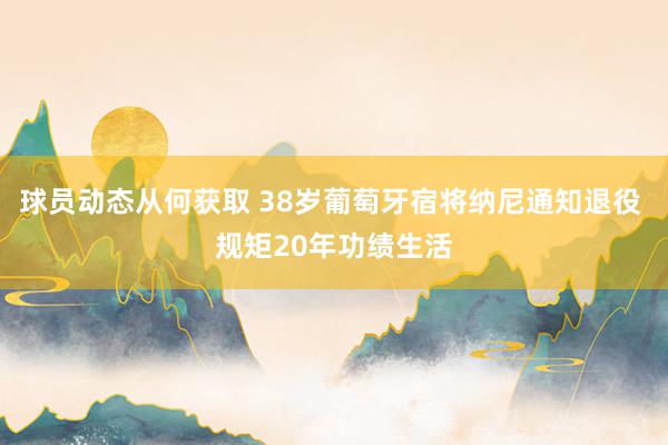 球员动态从何获取 38岁葡萄牙宿将纳尼通知退役 规矩20年功绩生活