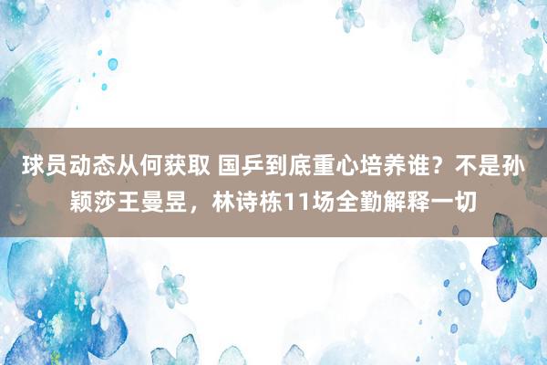 球员动态从何获取 国乒到底重心培养谁？不是孙颖莎王曼昱，林诗栋11场全勤解释一切