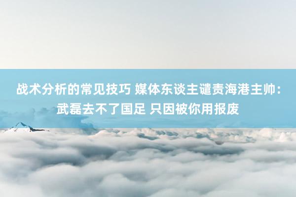 战术分析的常见技巧 媒体东谈主谴责海港主帅：武磊去不了国足 只因被你用报废