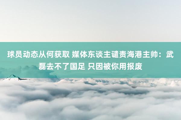 球员动态从何获取 媒体东谈主谴责海港主帅：武磊去不了国足 只因被你用报废