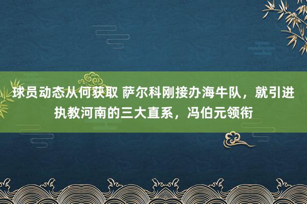 球员动态从何获取 萨尔科刚接办海牛队，就引进执教河南的三大直系，冯伯元领衔