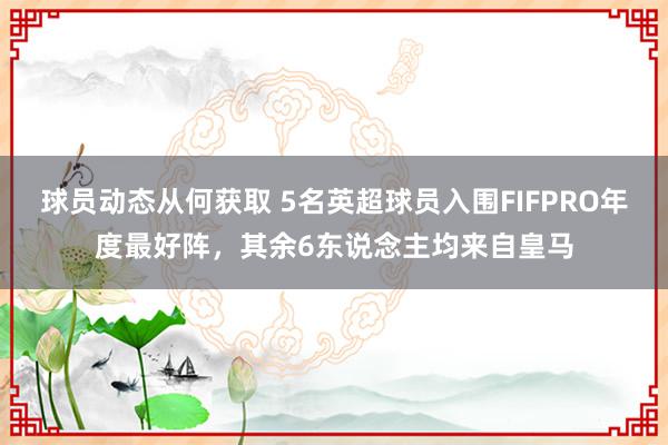 球员动态从何获取 5名英超球员入围FIFPRO年度最好阵，其余6东说念主均来自皇马